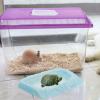 Happyyami Turtle Water Bowl view 4