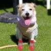 Dog Paw Protection Boots view 3