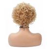 Women's Short Curly Synthetic Hairpiece, Blonde Mixed-Color Party Hair view 1