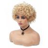 Women's Short Curly Synthetic Hairpiece, Blonde Mixed-Color Party Hair view 2