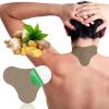 Herbal Shoulder Pain Relief Patch - Instant Relief for Neck & Shoulder Stiffness, 10 Pcs view 2