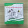 Herbal Shoulder Pain Relief Patch - Instant Relief for Neck & Shoulder Stiffness, 10 Pcs view 3