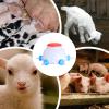 Animal Milk Feeder with 2.5-Liter Capacity, Reusable view 4