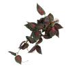 Aumotop Reptile Simulation Plant view 1