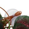Aumotop Reptile Simulation Plant view 2