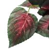 Aumotop Reptile Simulation Plant view 4