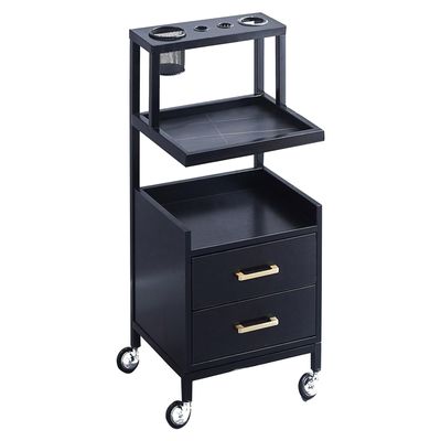 Salon Storage Cabinet with 2 Hair Dryer Holders