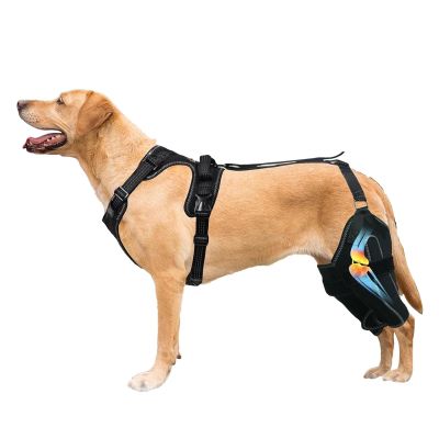 Adjustable Dog Hind Leg Support Brace with Metal Stabilizers