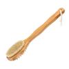 Double-Sided Shower Brush with Long Handle, Wood and Natural Bristles view 1
