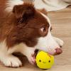 Dog Squeaky Egg Toy view 4