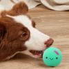Squeaky Egg Toy for Dogs view 4