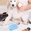 Dog Bath Brush view 2