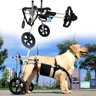 Dog Wheelchair for Large Dogs with Paralyzed Hind Legs, Size L
