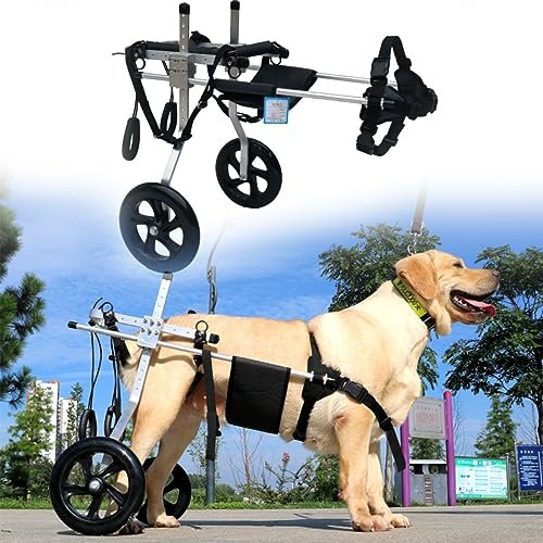 Dog Wheelchair for Large Dogs with Paralyzed Hind Legs, Size L