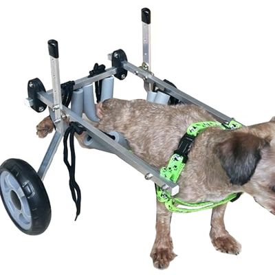 Generic Mobility Aid for Disabled Dogs, Hind-Leg Wheelchair Cart, 15–50 lb, Training Buggy, XXS