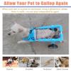 Lightweight Dog Wheelchair for Rear Legs view 4