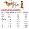 Adjustable Dog Wheelchair for Hind Legs, Lightweight, for Pets with Disabilities, Paralysis, Injuries, or Hind-Leg Weakness view 3