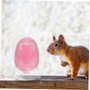 TOGEVAL Hamster Sand Bath Box view 3