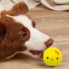 Acunny Rubber Egg Dog Toy view 2