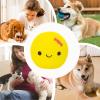 Acunny Rubber Egg Dog Toy view 4