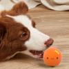 Hogvinnatil Egg Ball Dog Toy view 2