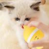 Ocastuted Pet Nurser Bottle, 40ml view 2