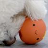Dog Squeaky Egg Toy view 3