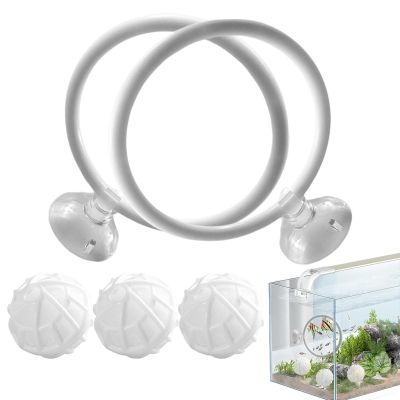 Betta Fish Training Ring