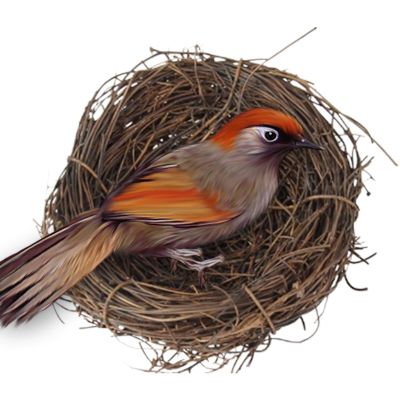 Handcrafted Woven Bird Breeding Nest House for Small Pets