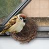 Handcrafted Woven Bird Breeding Nest House for Small Pets view 4