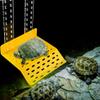 Ing Basking Platform Rium Accessory for Reptiles, Ylic Design view 4