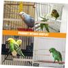 Wooden Bird Perch for Cages, Small Birds and Cockatiels view 3
