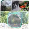 Toddmomy Foldable Transparent Insect Cage and Butterfly Net Habitat view 3