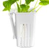 Aquarium Plant Stand - Multifunctional Water Pot view 1