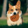 Dog Treat Plush Toy view 2