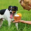 Dog Treat Plush Toy view 4