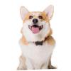 Happyyami 4-Pack Blank Dog Tags view 4