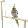 Yardwe Stainless Steel Split-Ring Bird Leg Band and Leash for Parrots view 4