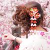 Umibow Japanese-Style Flower Tassel Hair Clips, Tsumami Kanzashi, Hanfu Cosplay, 4-Piece Set view 4
