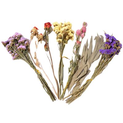Natural Flower Bedding for Hamsters and Gerbils