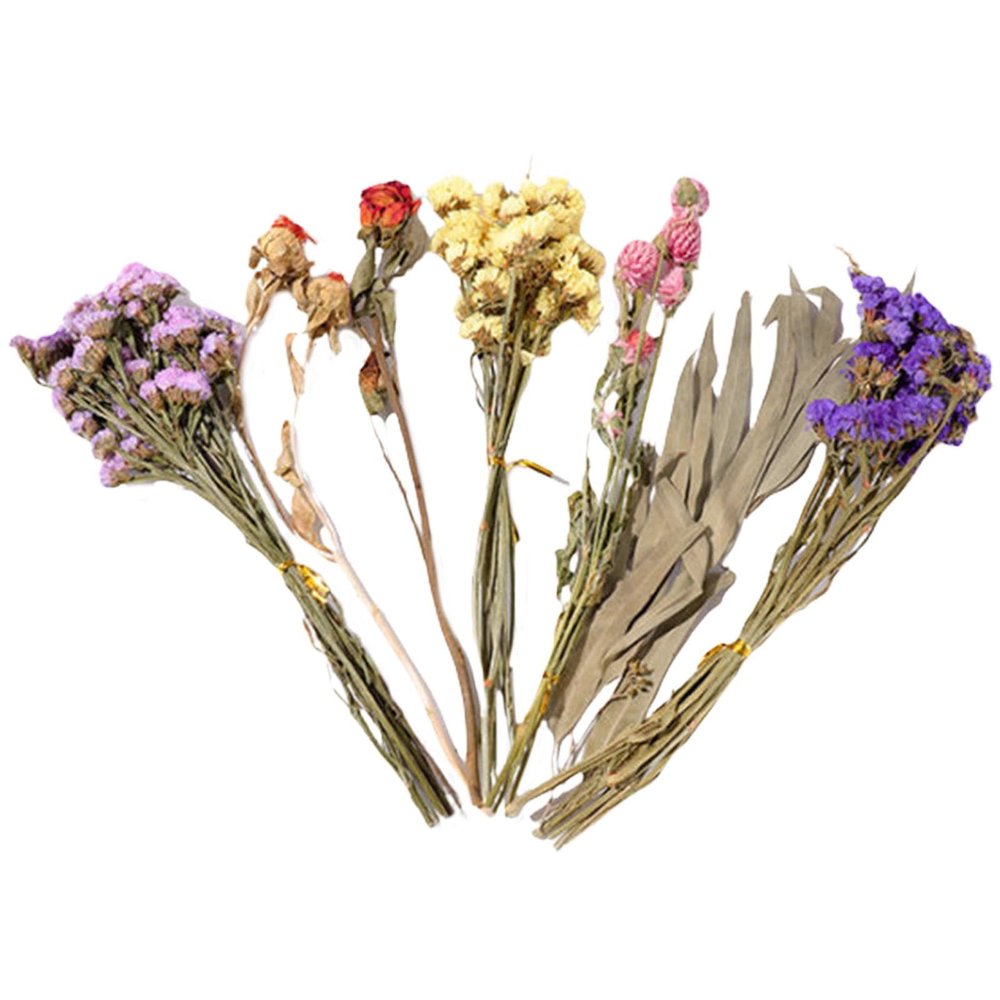 Natural Flower Bedding for Hamsters and Gerbils