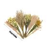 Natural Flower Bedding for Hamsters and Gerbils view 2