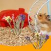Natural Flower Bedding for Hamsters and Gerbils view 4