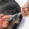 Retoo 9-in-1 Dog Grooming Scissors Set view 3