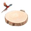 Round Bird Perch Platform Wooden Stand for Cage Birds and Parrots, Chewable Perch, 5–6, Professional Accessory (8–10) view 4