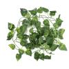 Akozon Artificial Leaves, Hanging Vines, 2m Long view 2