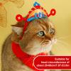 Festive Dog Hats for Chinese New Year view 3