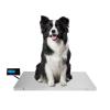Digital Pet and Livestock Scale, LCD Display, 660 lb Capacity view 1