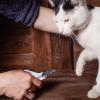 Cat Nail Clipper Trimmer view 2