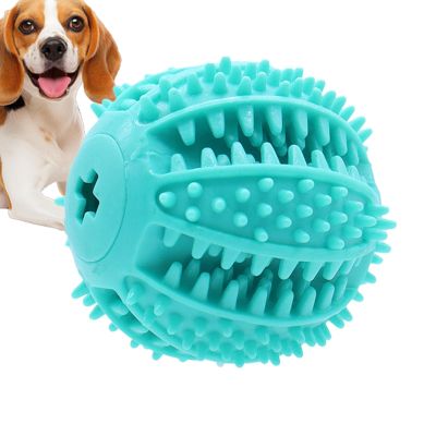 Dog Treat Dispenser Ball